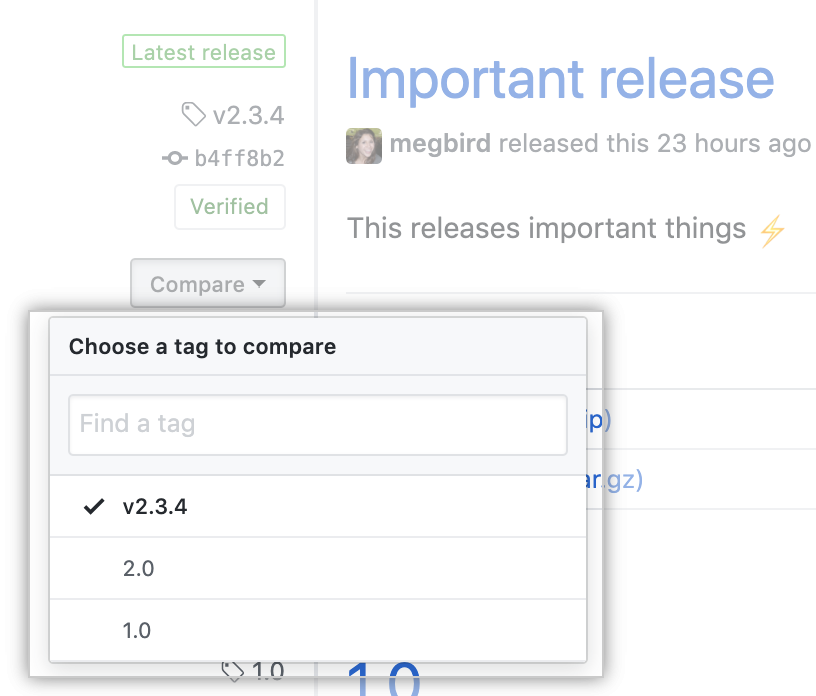 Compare release tags menu options