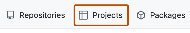 Screenshot showing profile tabs. The 'Projects' tab is highlighted with an orange outline.