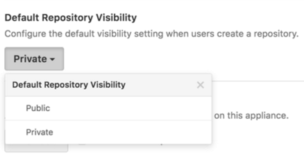 Drop-down menu to choose the default repository visibility for your instance 