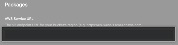 AWS 服务 URL 字段