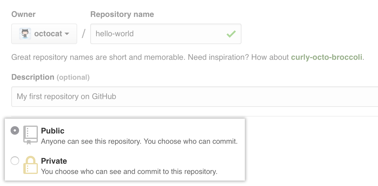 Public and private repository options